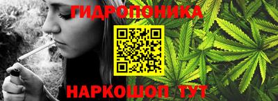 сатива Волгодонск
