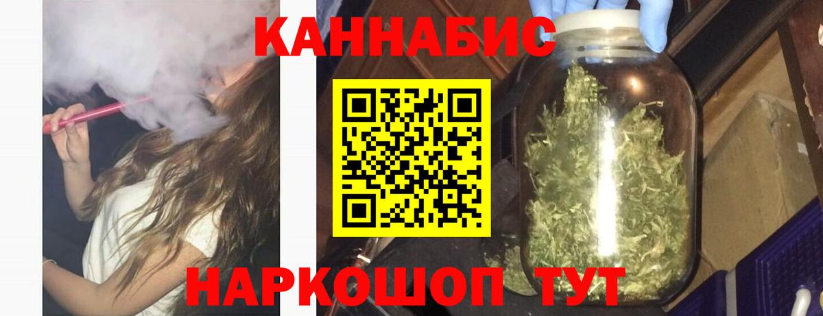 Конопля гибрид Нефтекумск